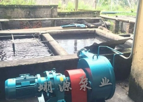 污水處理應用案例展示